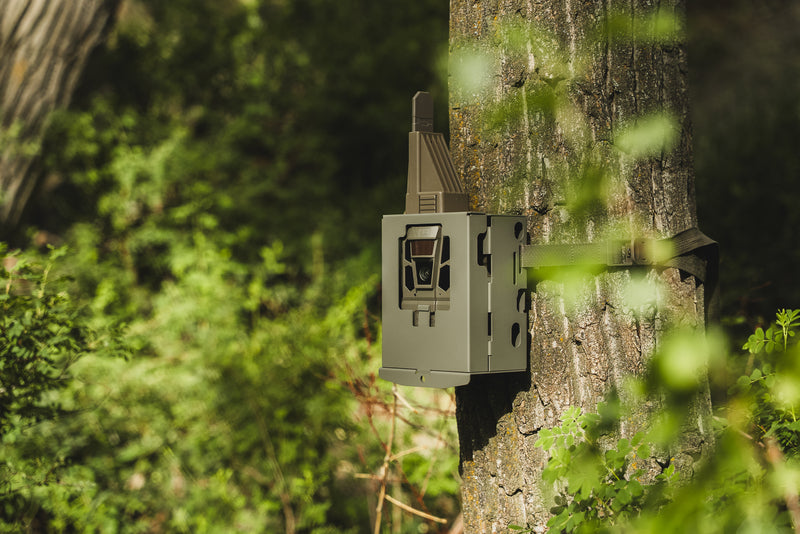Tactacam RV-SB-V4 Lockable Security Box for Reveal Cameras On Tree