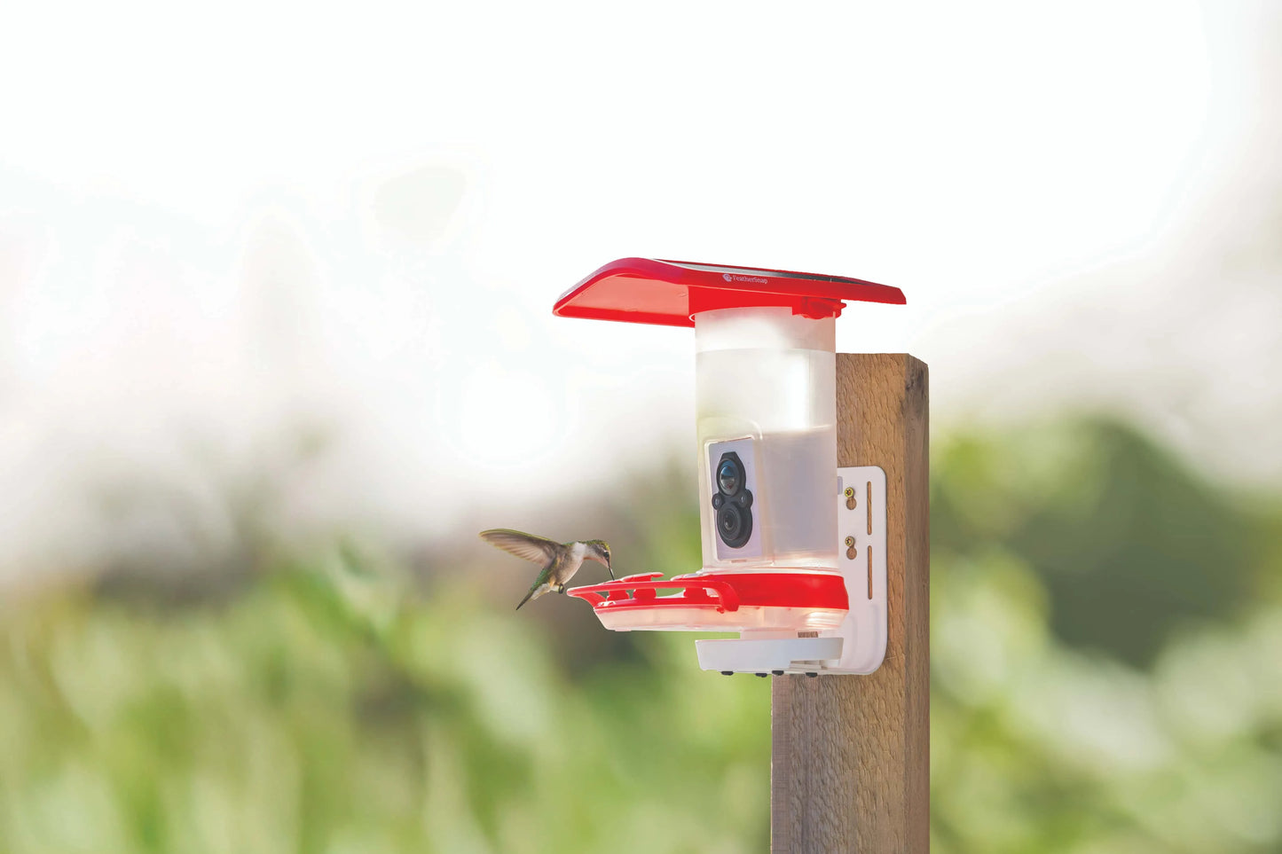 FeatherSnap Wi-Fi Solar Powered Smart Hummingbird Feeder Camera