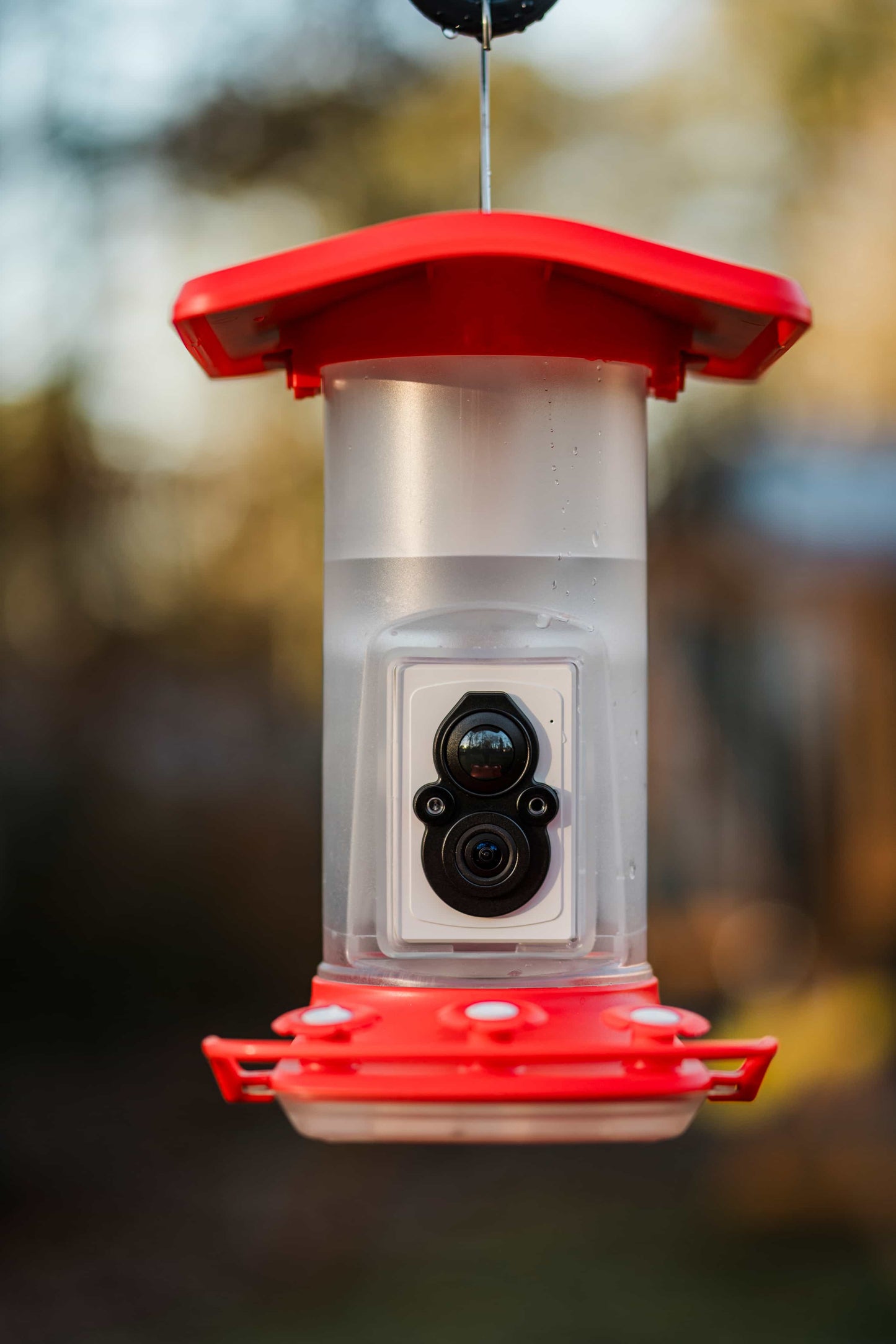 FeatherSnap Wi-Fi Solar Powered Smart Hummingbird Feeder Camera