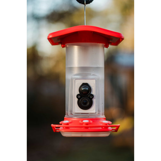 FeatherSnap Wi-Fi Solar Powered Smart Hummingbird Feeder Camera
