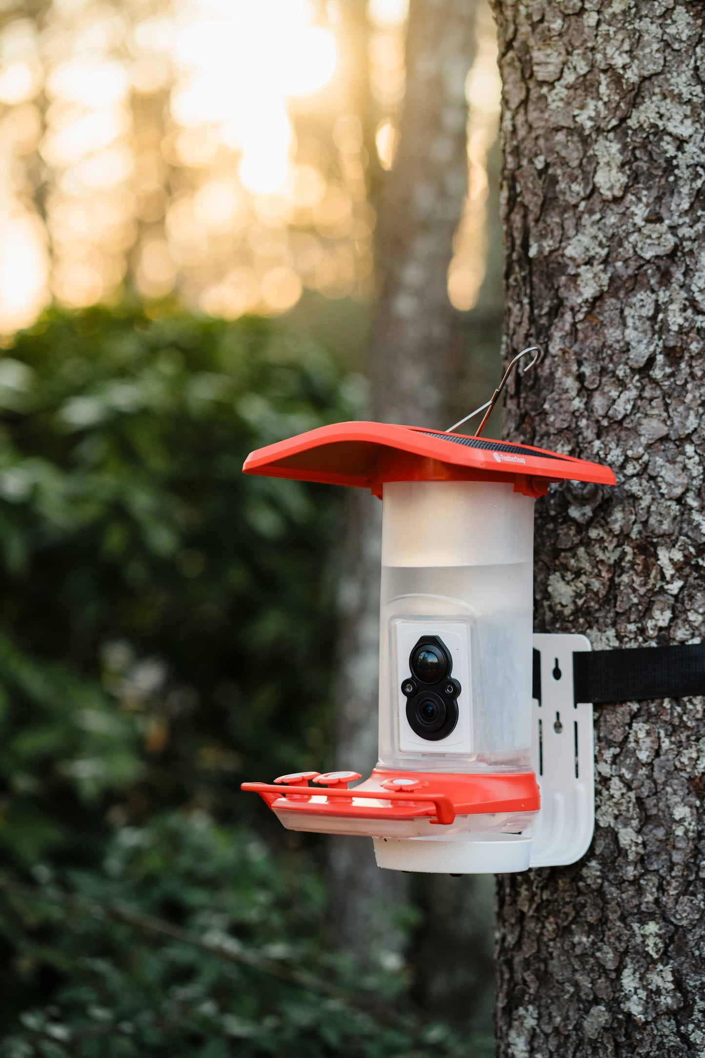 FeatherSnap Wi-Fi Solar Powered Smart Hummingbird Feeder Camera