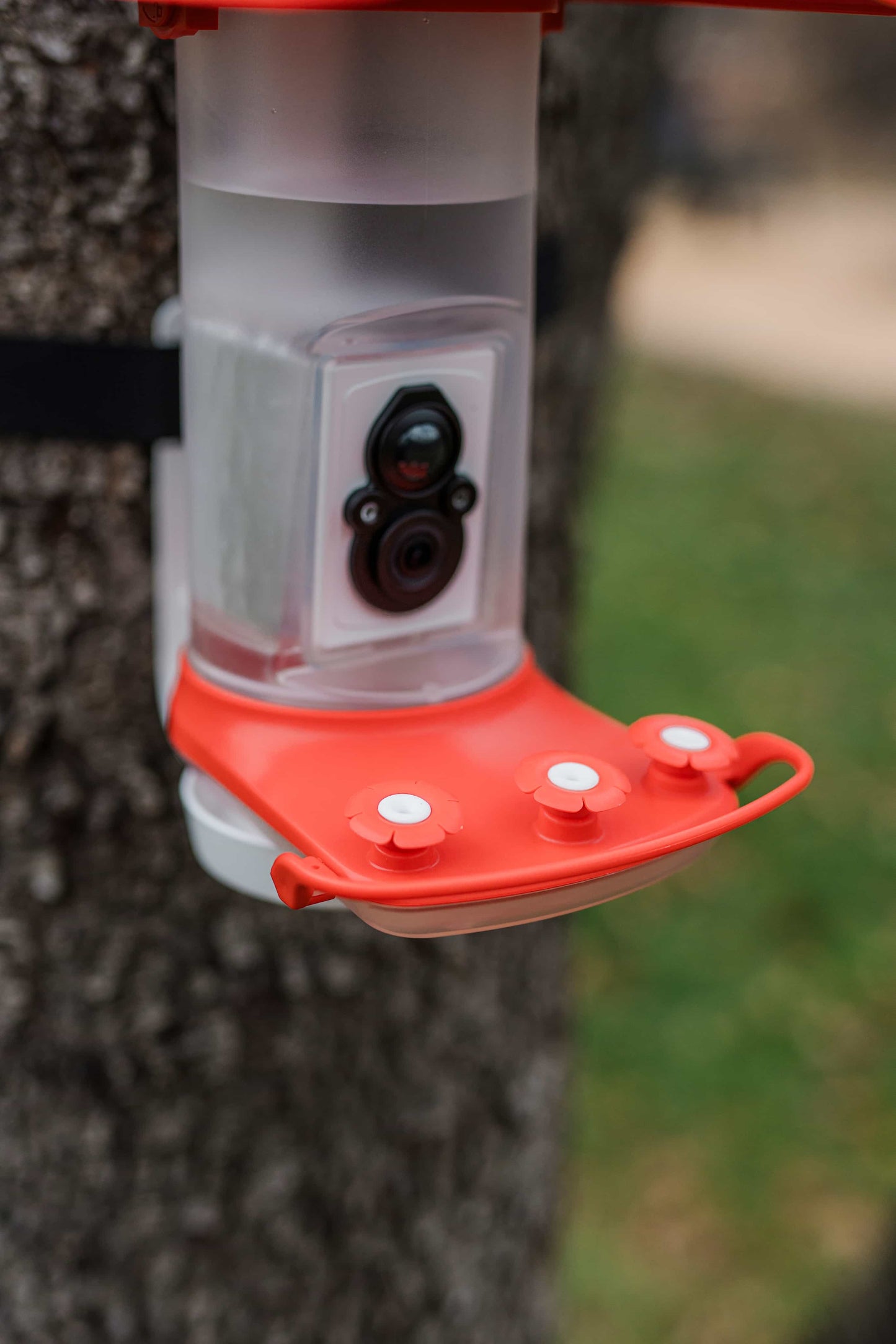 FeatherSnap Wi-Fi Solar Powered Smart Hummingbird Feeder Camera