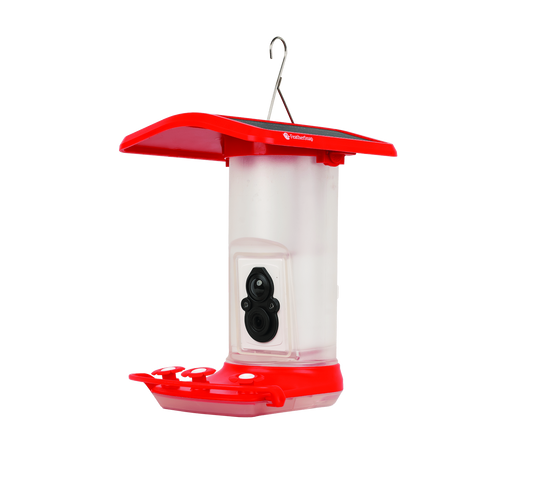 FeatherSnap Wi-Fi Solar Powered Smart Hummingbird Feeder Camera