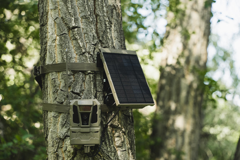 Tactacam Reveal RV-SP-5-PWRBNDL 5K Battery Pack & R5 Solar Panel Bundle Installed on Tree