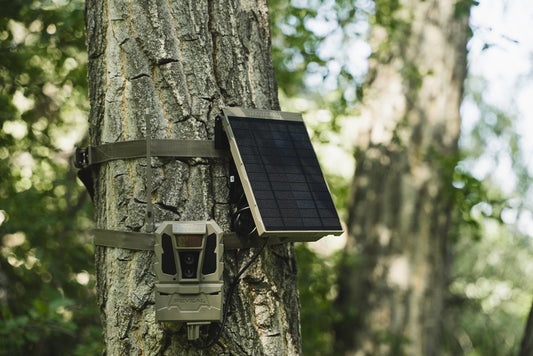 Tactacam Reveal RV-SP-5-PWRBNDL 5K Battery Pack & R5 Solar Panel Bundle Installed on Tree